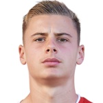 Gabriel Vidoviฤ